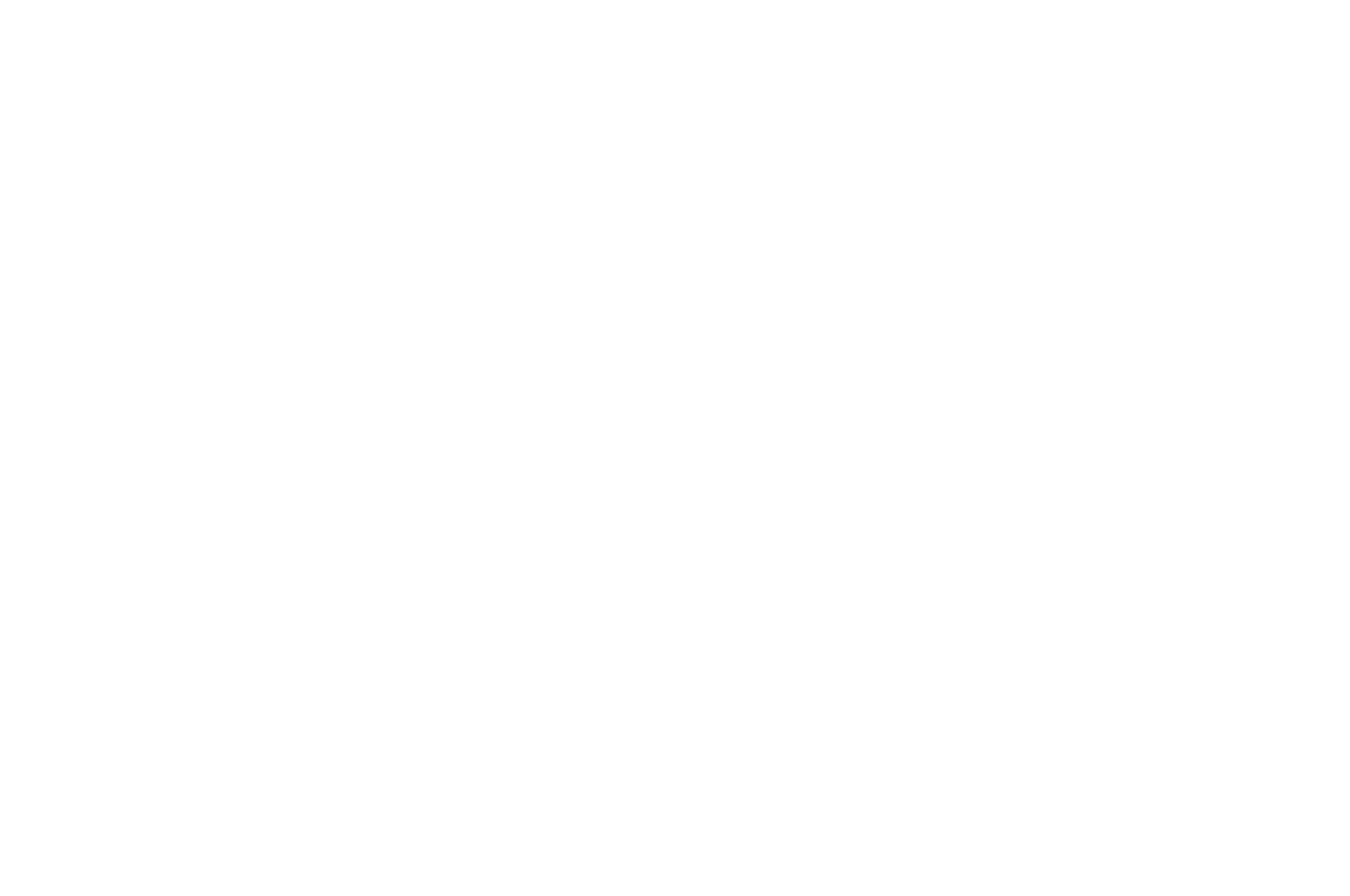 Best Director — LA Cinefest Awards